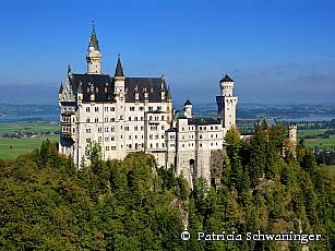 Patricia Schwaninger