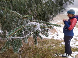 Naturführung Claudia Gans