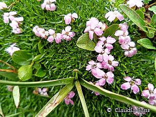 Naturführung Claudia Gans