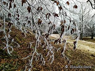 Naturführung Claudia Gans